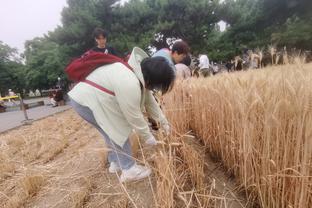 雷竞技官网怎么样